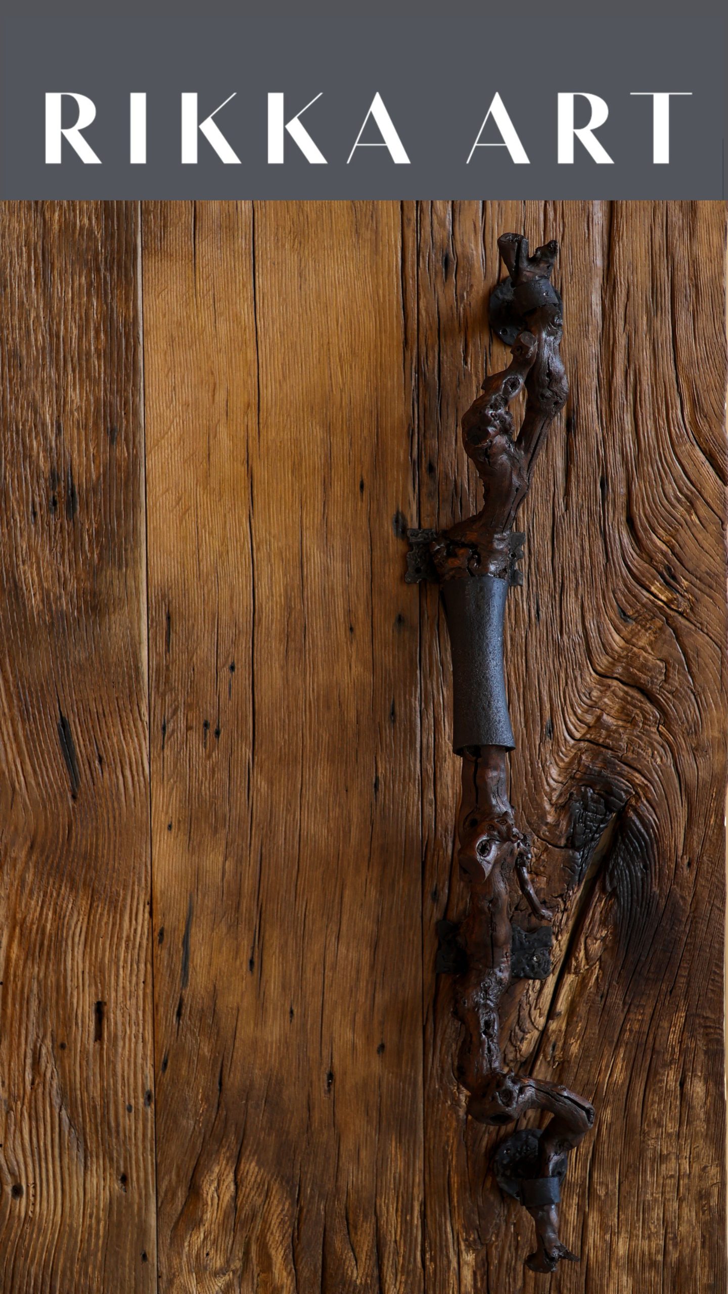 Іван ПЕТРОВЦІ - RIKKA Khust - Thermal Resort – Зображення 4