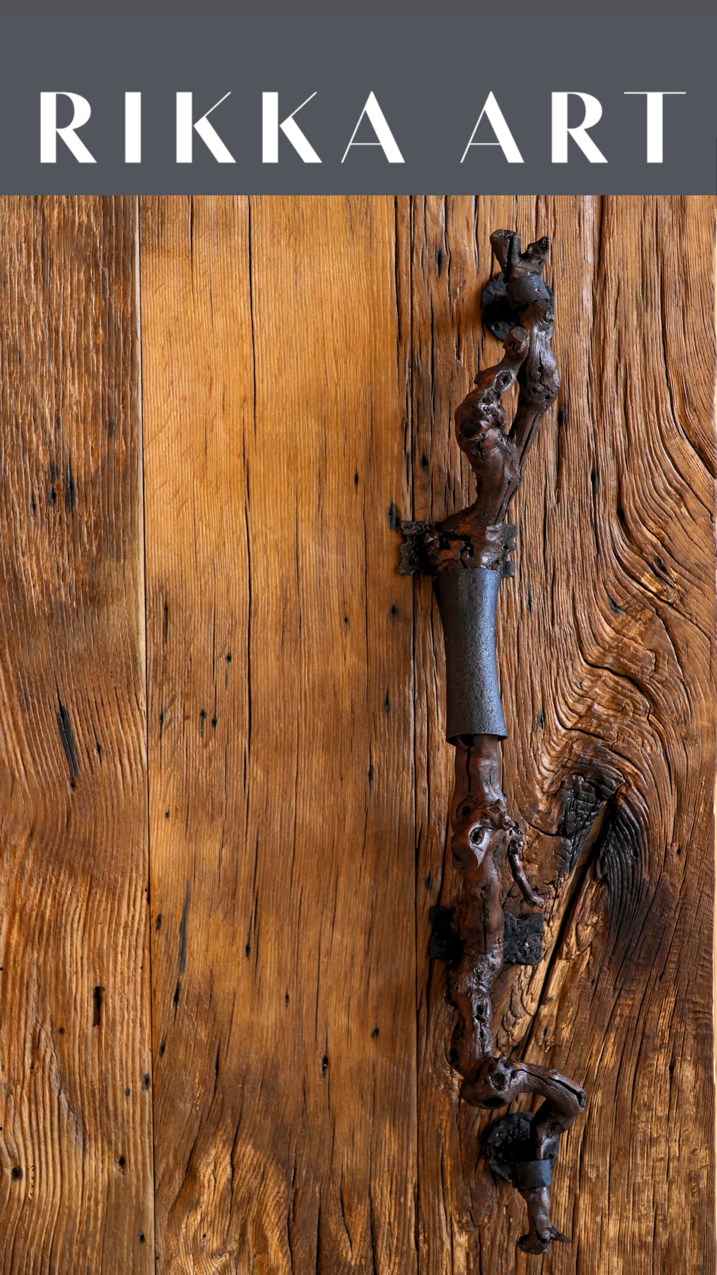 Валерій ДЬОРДЯК - RIKKA Khust - Thermal Resort – Зображення 4