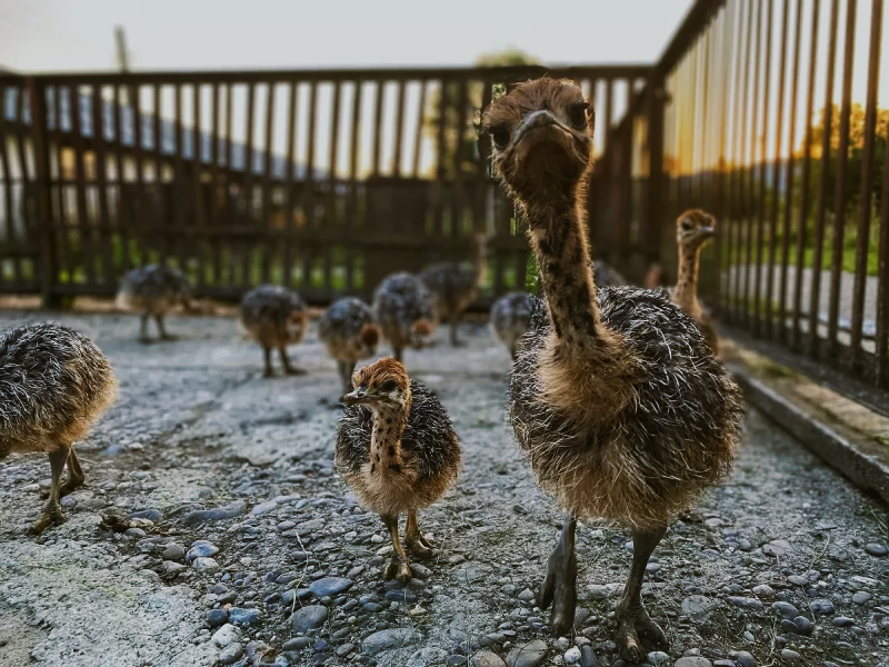 Кращі фотолокації Хуста та його околиць - RIKKA Khust &ndash; Зображення 11