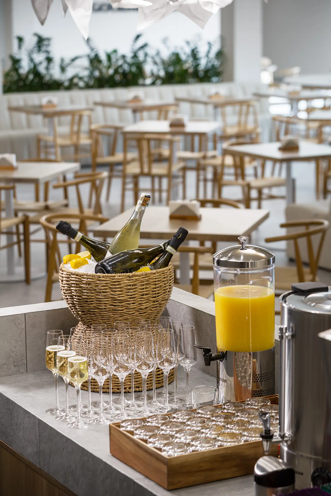 Ресторани Rikka та кухня Закарпаття у Хусті – Зображення 6