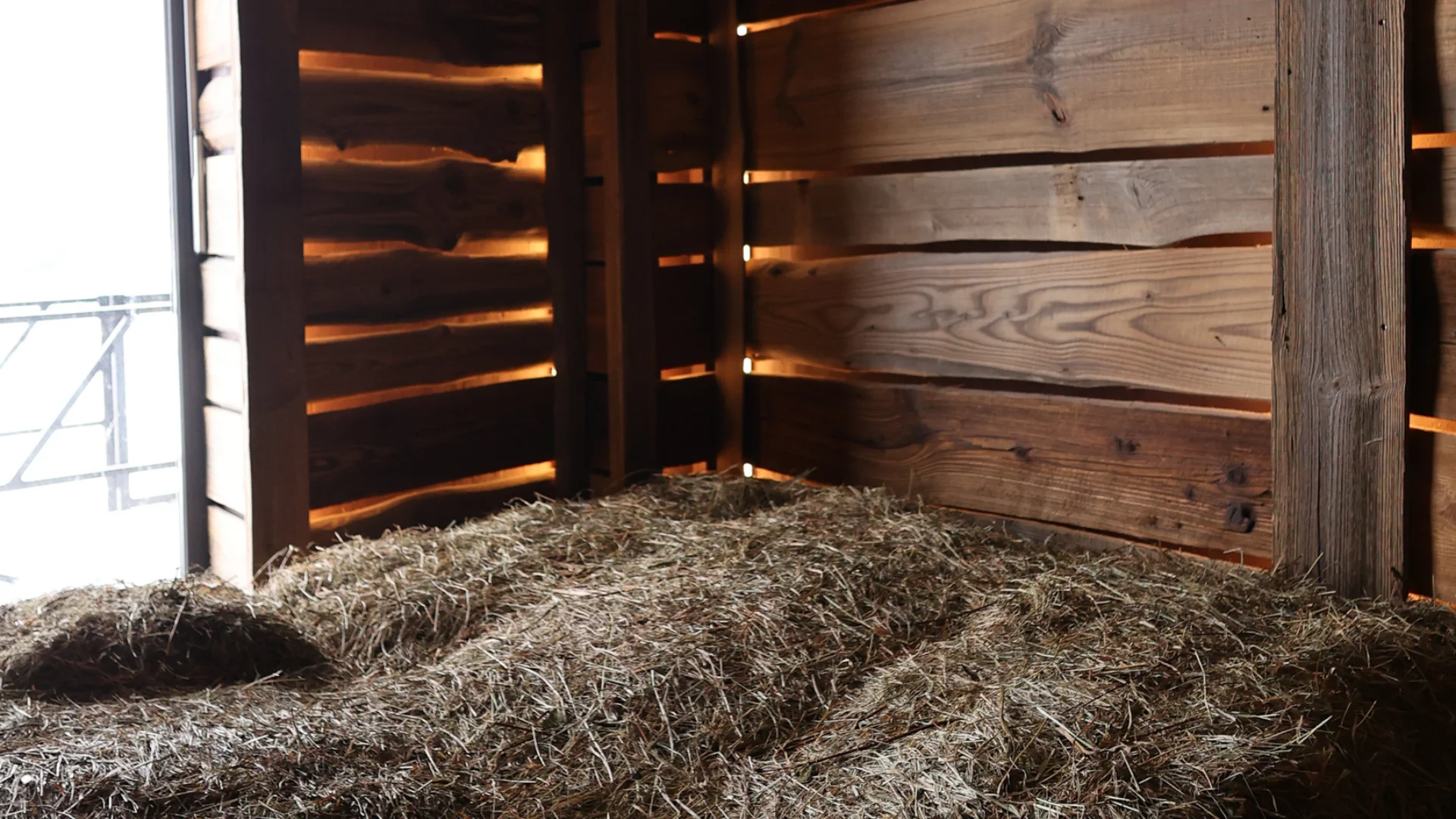 SPA-комплекс Rikka — сауни, мінеральна вода та релакс у Хусті – Зображення 13