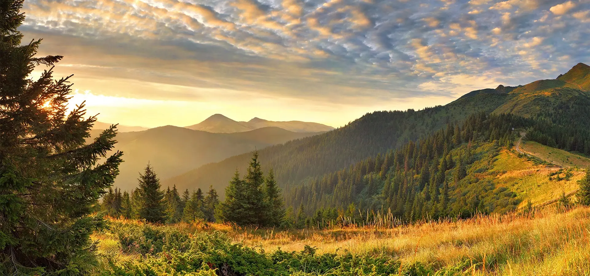 Блог Rikka Khust &mdash; новини, акції про термальний курорт у Хусті &ndash; Зображення 23