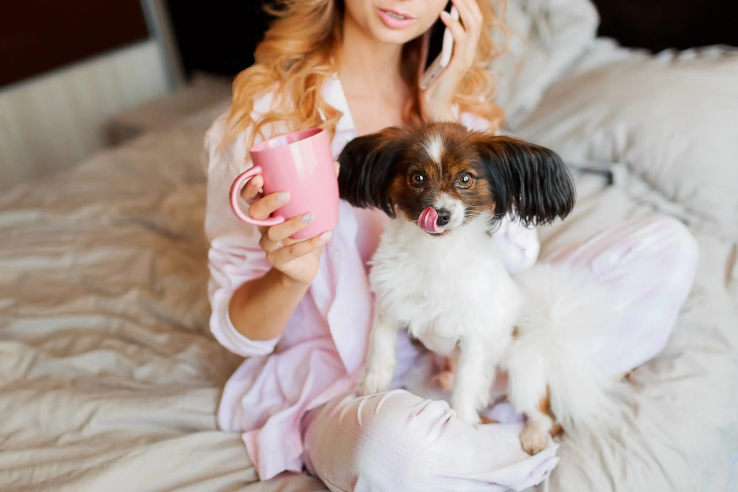 Правила проживання з домашніми тваринами в Rikka Khust – Зображення 7